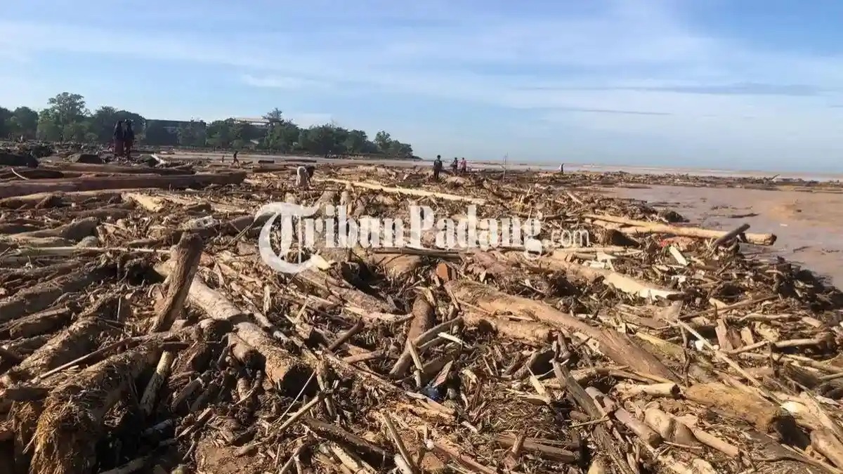 Kenapa Pemerintah Belum Tetapkan Banjir Sumatra Jadi Bencana Nasional? Ini Penjelasan BNPB